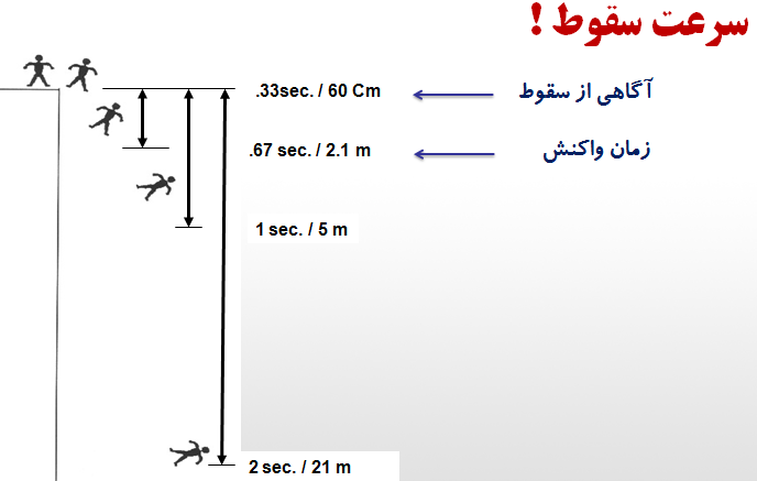  نمودار سرعت سقوط